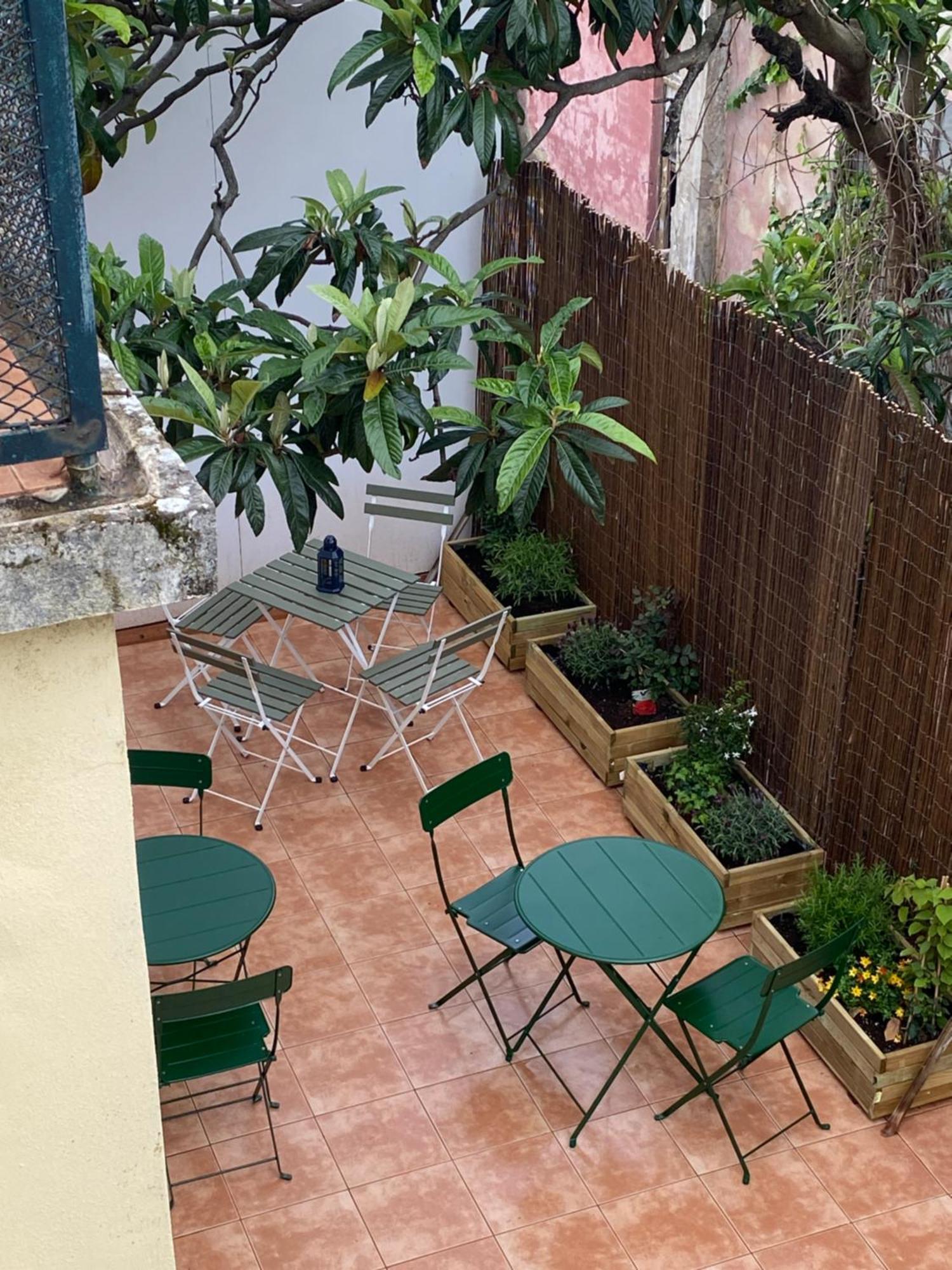 Terrace House Hostel Lisbon Bagian luar foto